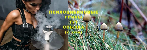 альфа пвп Армянск