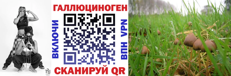 Псилоцибиновые грибы мухоморы  нарко площадка какой сайт  Суворов 